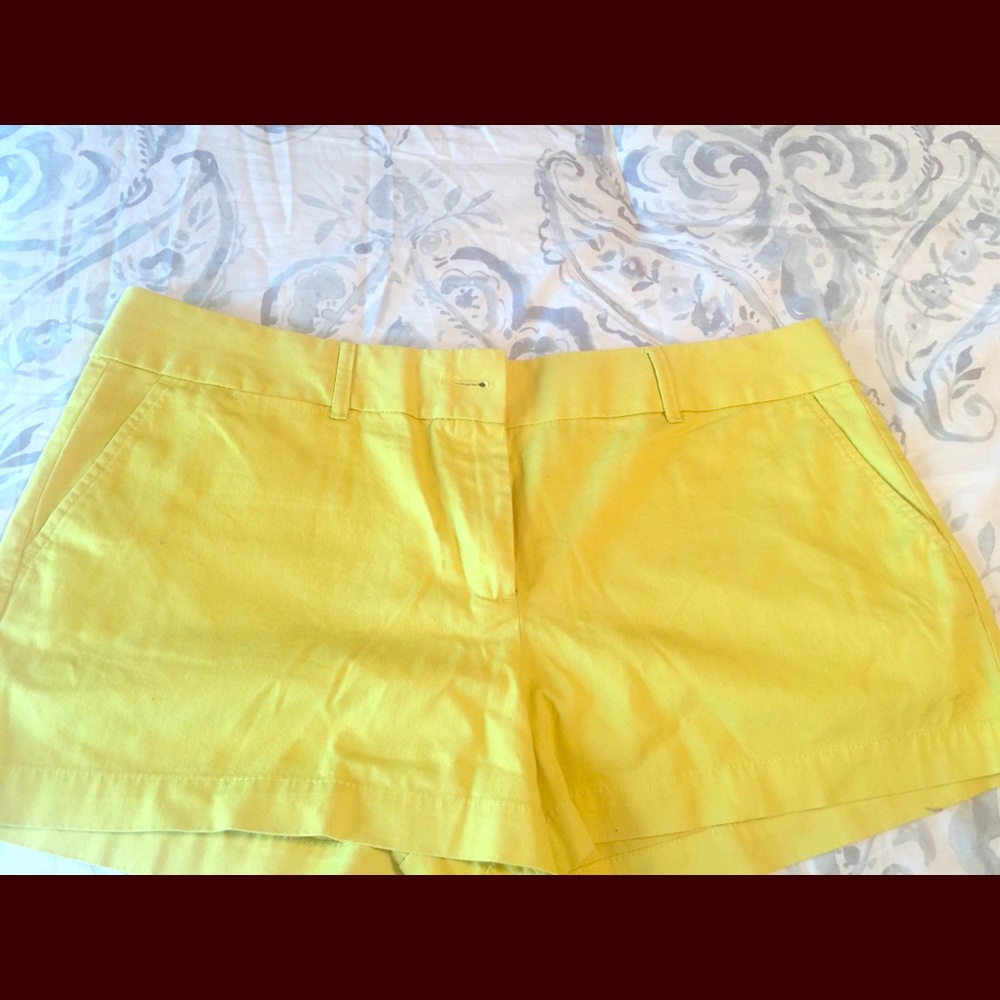 LOFT shorts 14